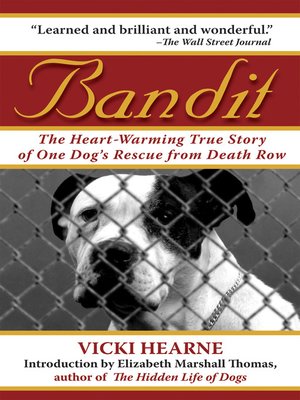 cover image of Bandit